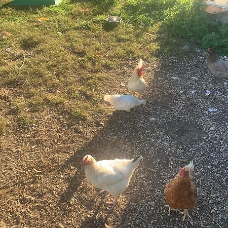 Logement Independant Le Poulailler Proche Guedelon Treigny Εξωτερικό φωτογραφία