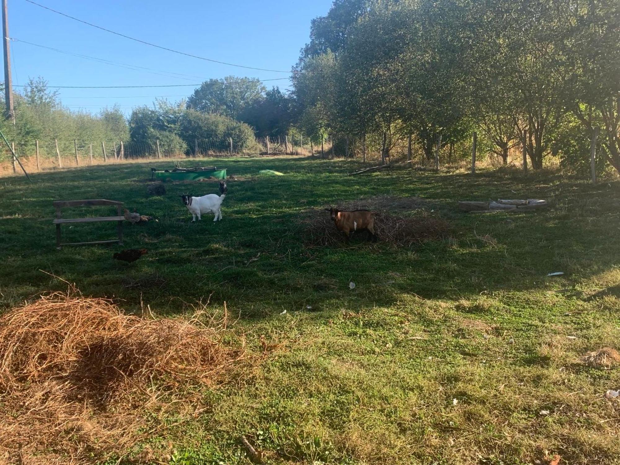 Logement Independant Le Poulailler Proche Guedelon Treigny Εξωτερικό φωτογραφία